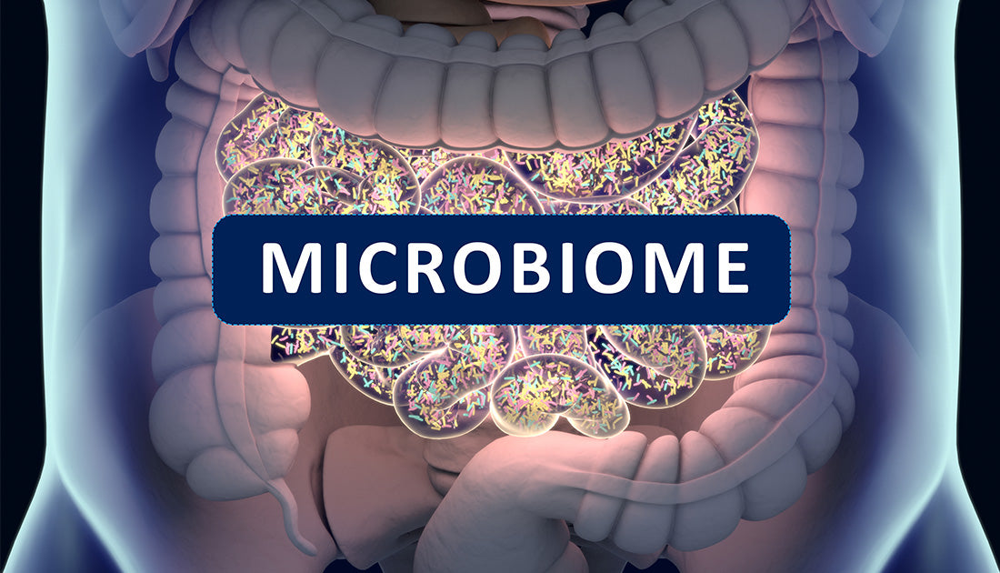 Increasing Microbiome Diversity with Probiotics